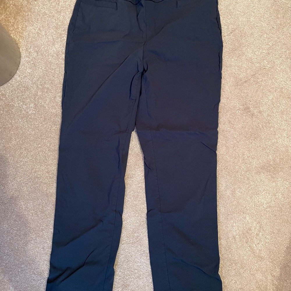 Briggs New York Blue Trousers